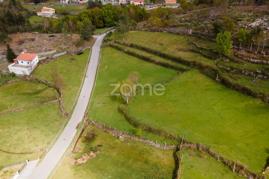 Terreno para Venda em Ruivães e Campos Foto 7