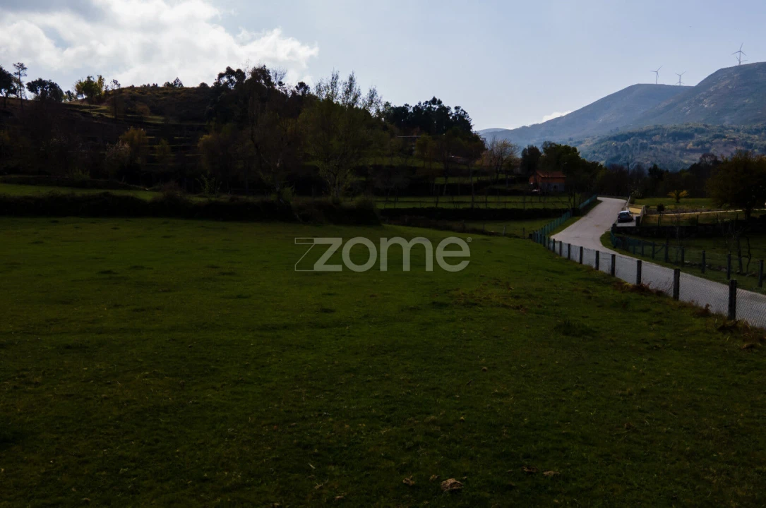 Terreno para Venda em Ruivães e Campos Foto 9