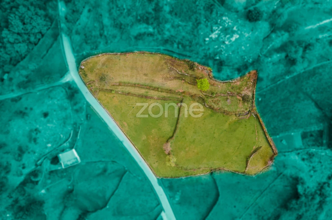 Terreno para Venda em Ruivães e Campos Foto 1