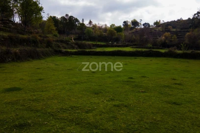 Terreno para Venda em Ruivães e Campos