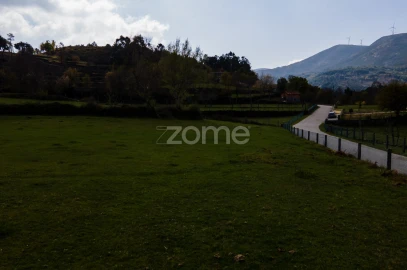 Terreno para Venda em Ruivães e Campos