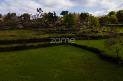 Terreno para Venda em Ruivães e Campos
