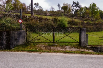 Terreno para Venda em Ruivães e Campos