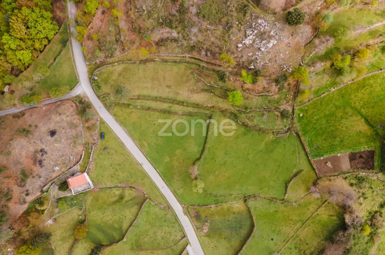 Terreno para Venda em Ruivães e Campos Foto 3