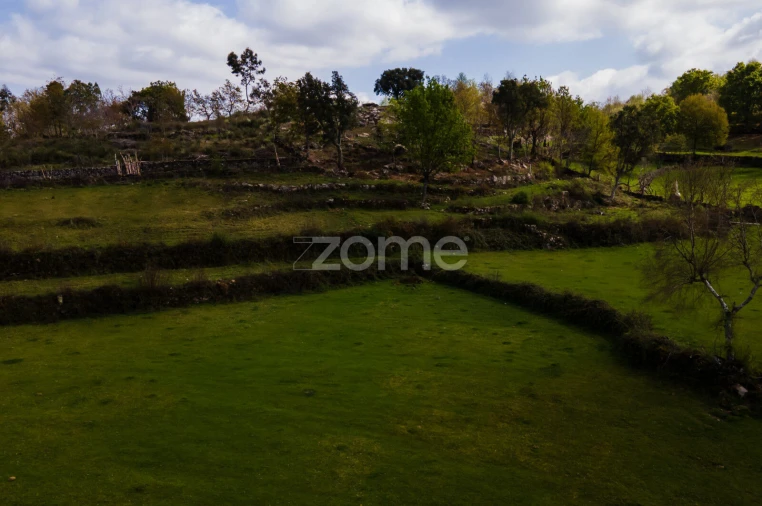 Terreno para Venda em Ruivães e Campos Foto 10