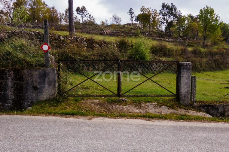 Terreno para Venda em Ruivães e Campos Foto 6