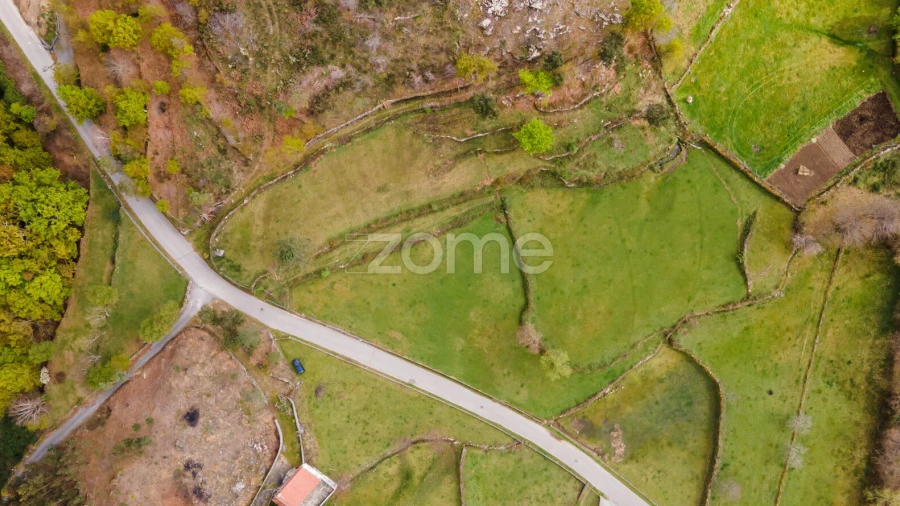 Terreno para Venda em Ruivães e Campos