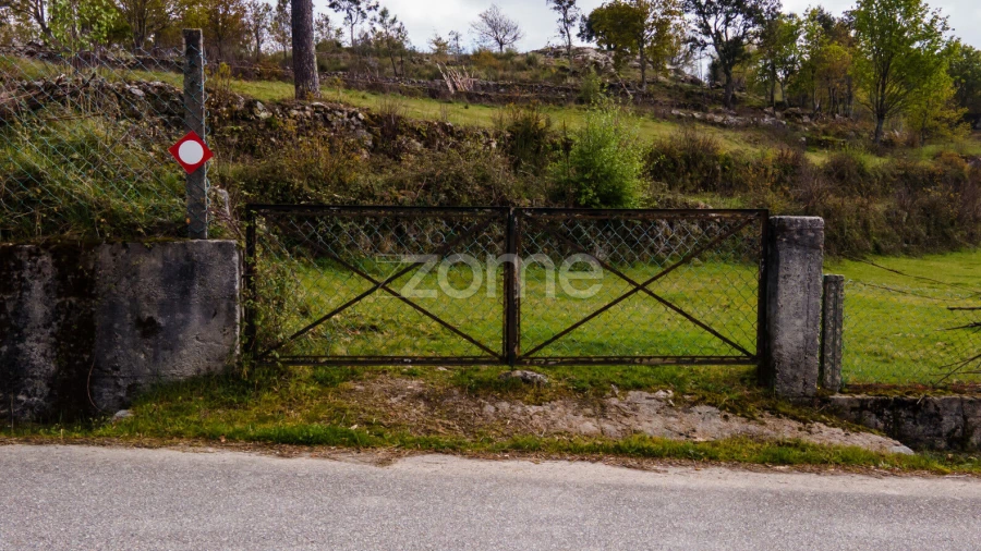 Terreno para Venda em Ruivães e Campos