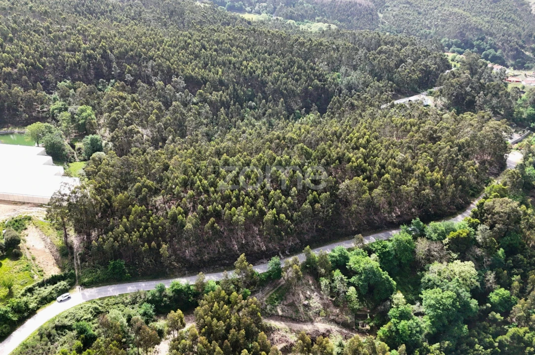 Terreno para Venda em Fonte Arcada e Oliveira Foto 2