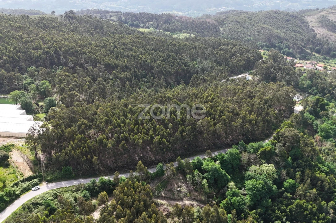 Terreno para Venda em Fonte Arcada e Oliveira Foto 3
