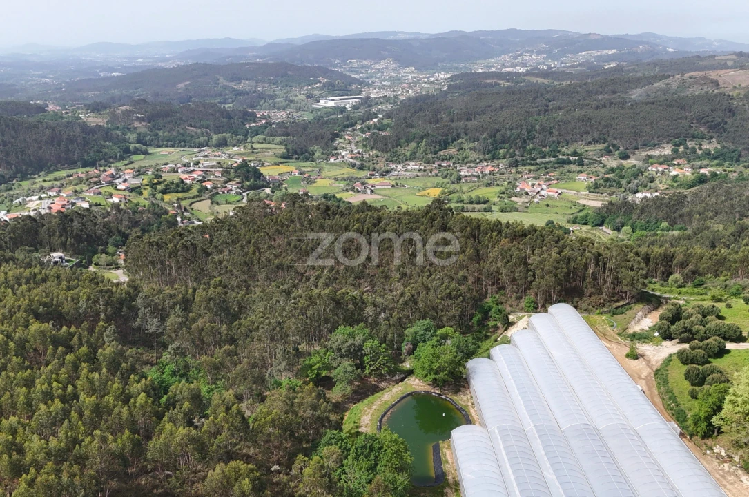 Terreno para Venda em Fonte Arcada e Oliveira Foto 7