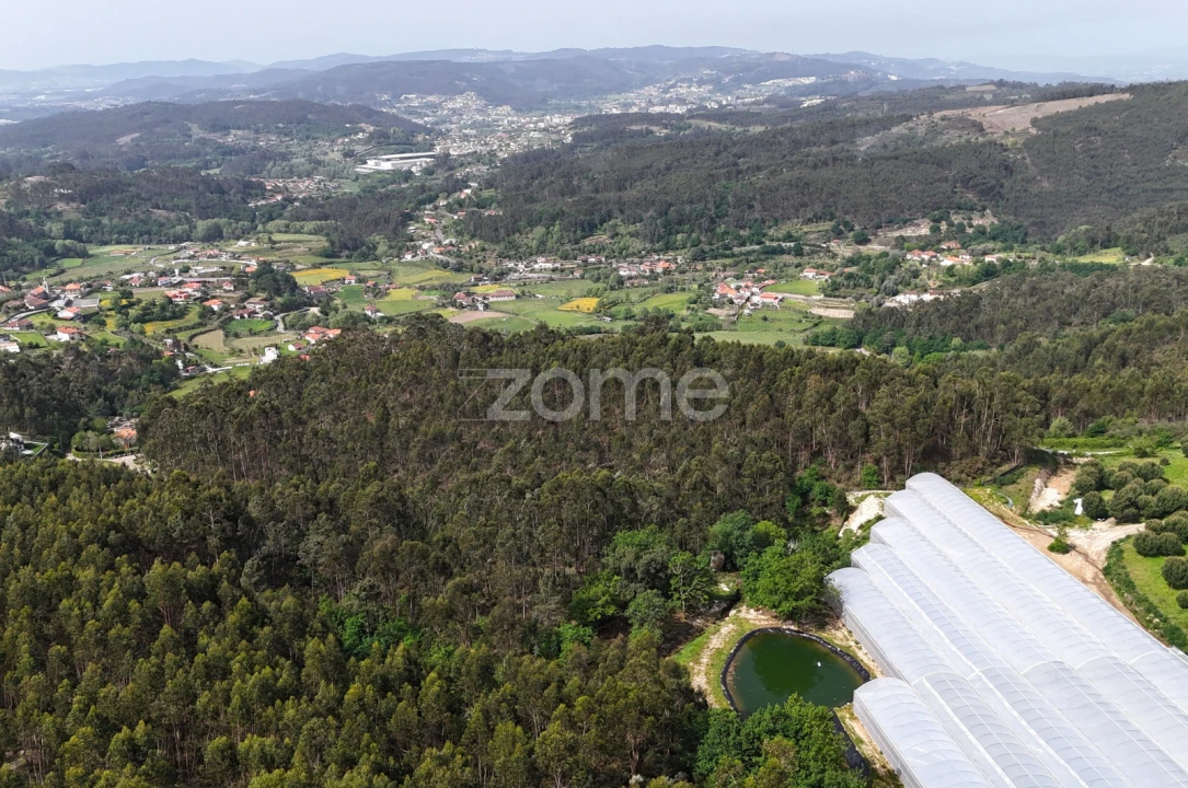 Terreno para Venda em Fonte Arcada e Oliveira Foto 8