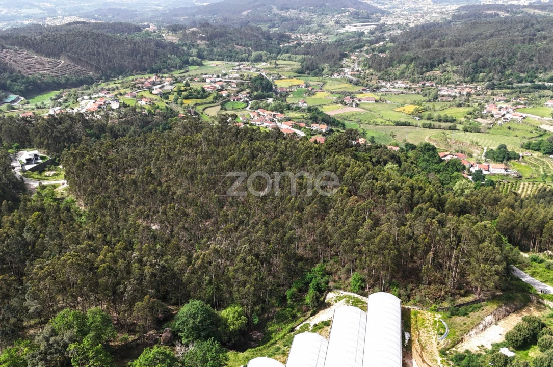 Terreno para Venda em Fonte Arcada e Oliveira Foto 9