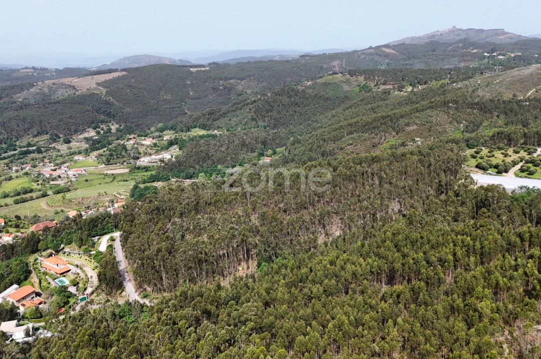 Terreno para Venda em Fonte Arcada e Oliveira Foto 12