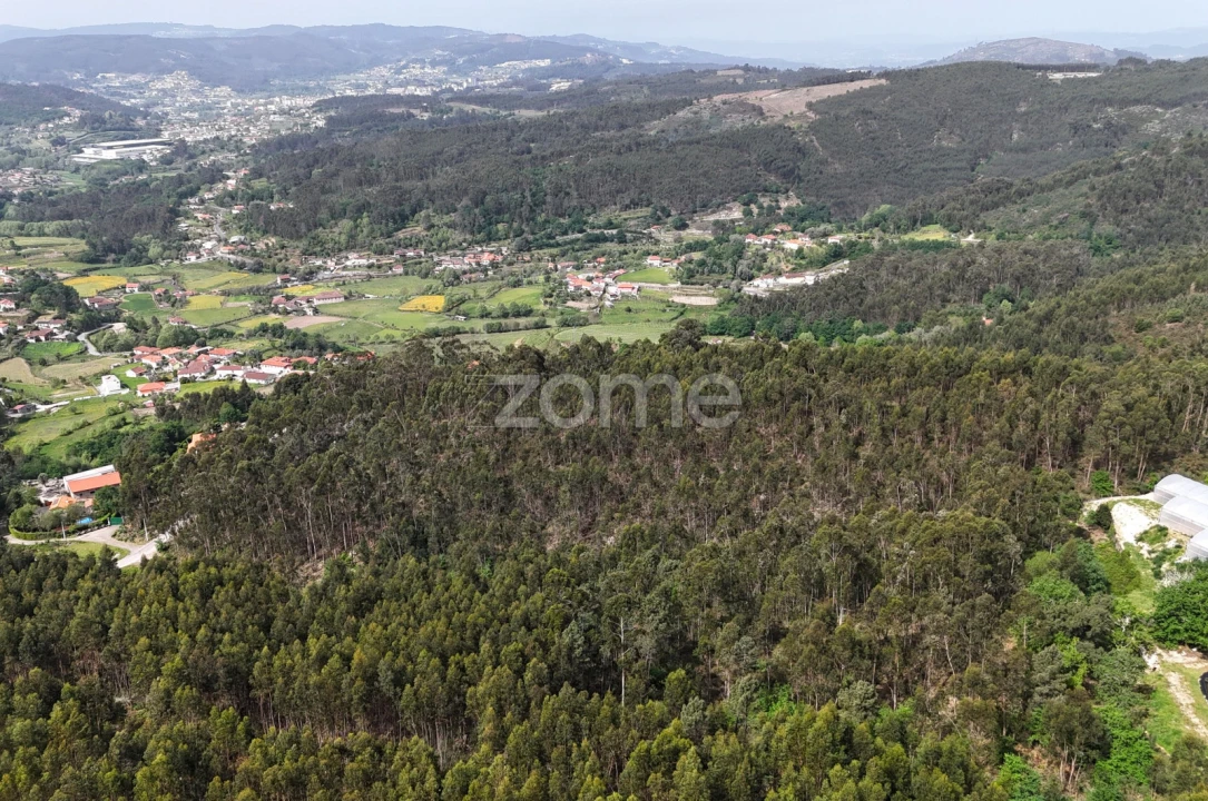 Terreno para Venda em Fonte Arcada e Oliveira Foto 14