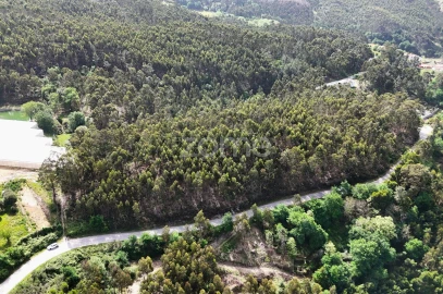 Terreno para Venda em Fonte Arcada e Oliveira