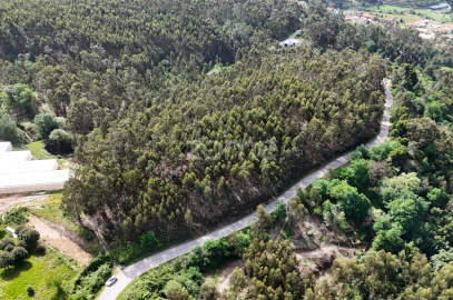 Terreno para Venda em Fonte Arcada e Oliveira