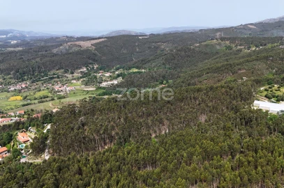 Terreno para Venda em Fonte Arcada e Oliveira