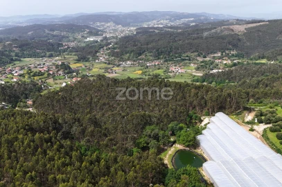 Terreno para Venda em Fonte Arcada e Oliveira