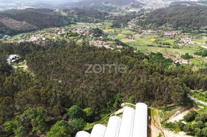 Terreno para Venda em Fonte Arcada e Oliveira