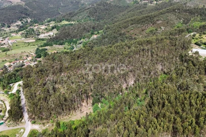 Terreno para Venda em Fonte Arcada e Oliveira