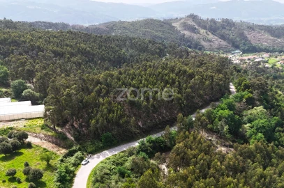 Terreno para Venda em Fonte Arcada e Oliveira
