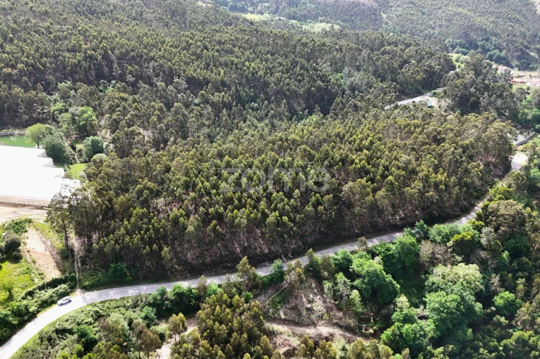 Terreno para Venda em Fonte Arcada e Oliveira Foto 2