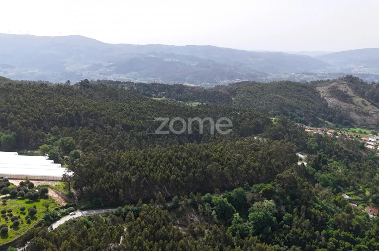 Terreno para Venda em Fonte Arcada e Oliveira Foto 4