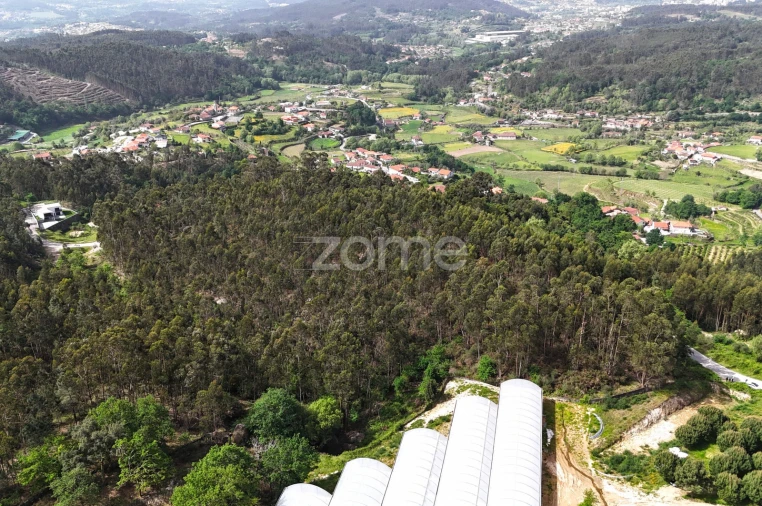 Terreno para Venda em Fonte Arcada e Oliveira Foto 10