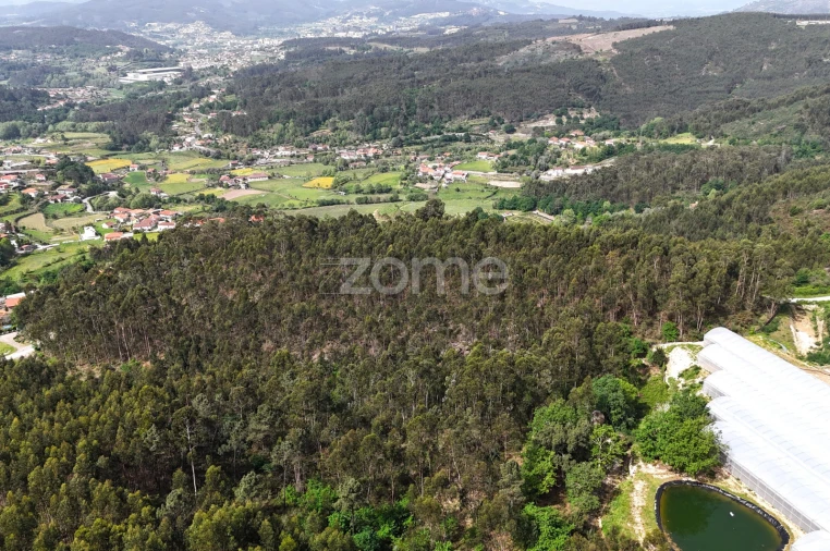 Terreno para Venda em Fonte Arcada e Oliveira Foto 11