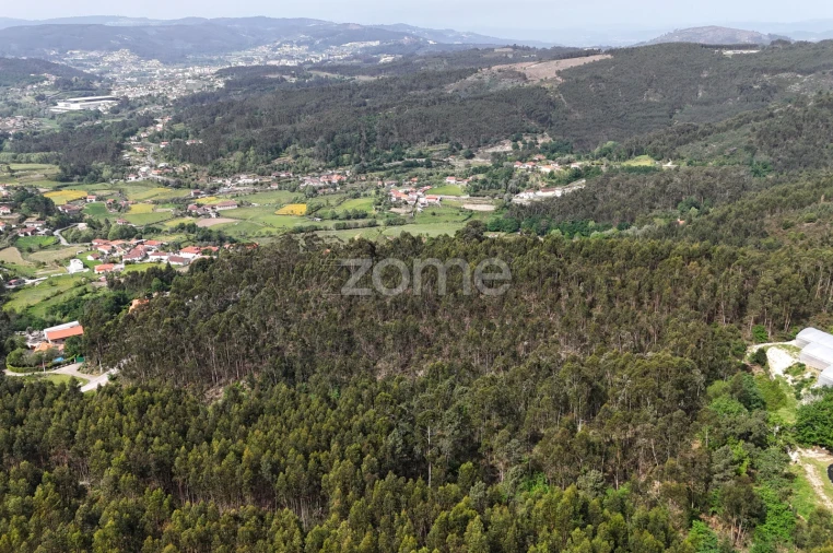 Terreno para Venda em Fonte Arcada e Oliveira Foto 14