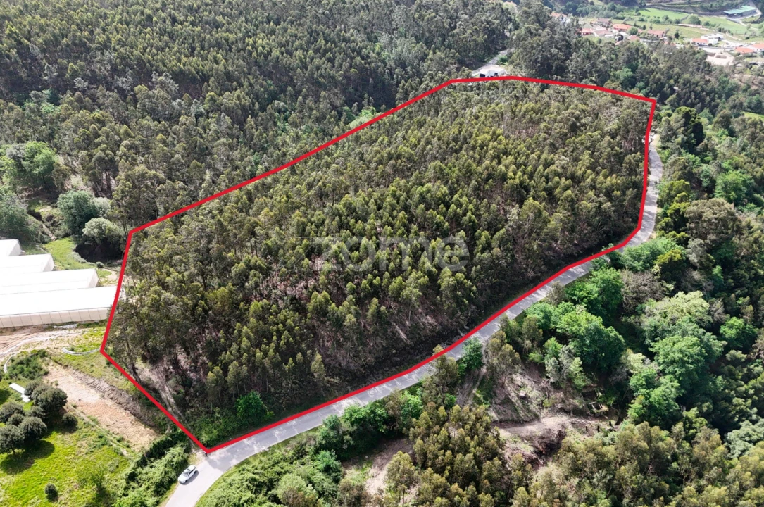 Terreno para Venda em Fonte Arcada e Oliveira Foto 15