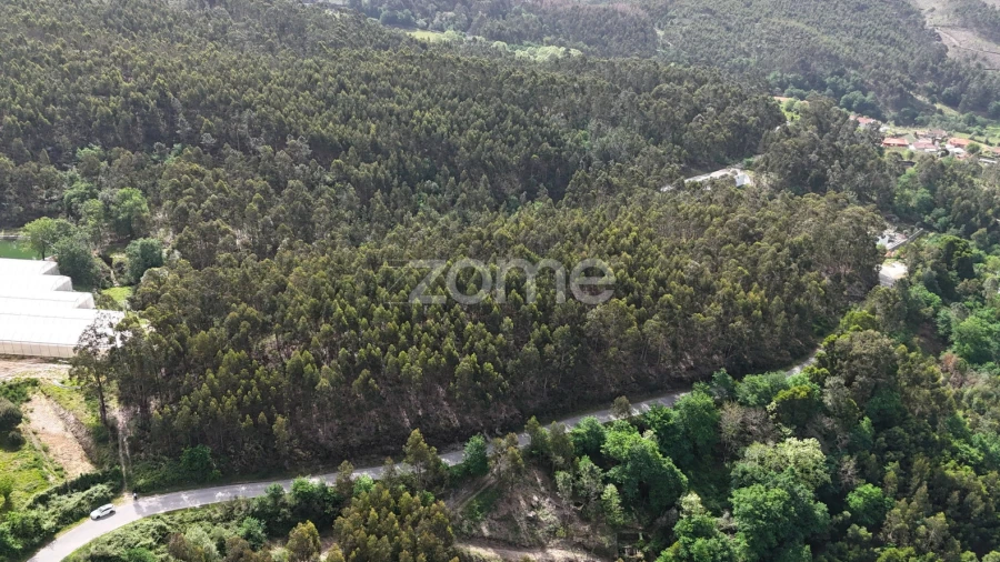 Terreno para Venda em Fonte Arcada e Oliveira