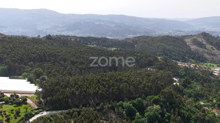 Terreno para Venda em Fonte Arcada e Oliveira