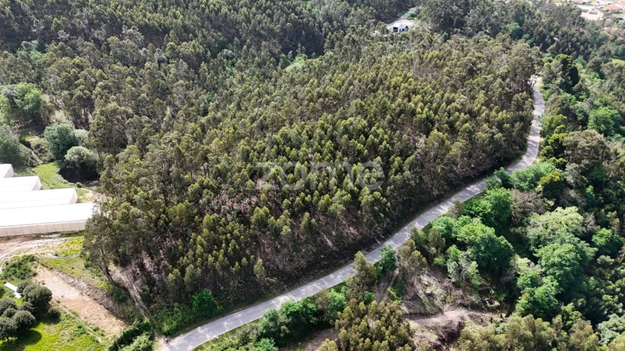 Terreno para Venda em Fonte Arcada e Oliveira