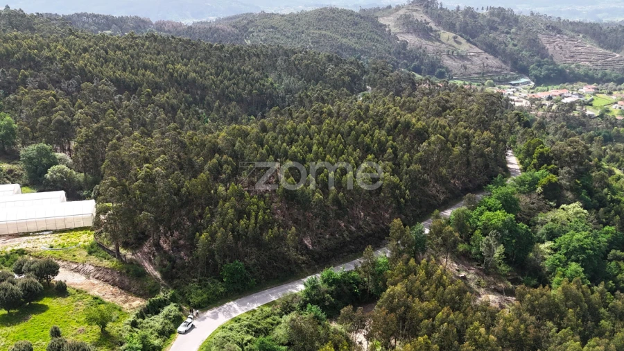 Terreno para Venda em Fonte Arcada e Oliveira