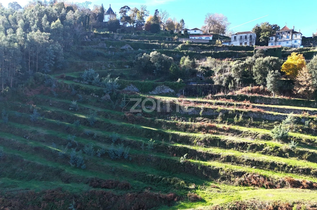 Quinta T13 para Venda em Nogueiró e Tenões Foto 47