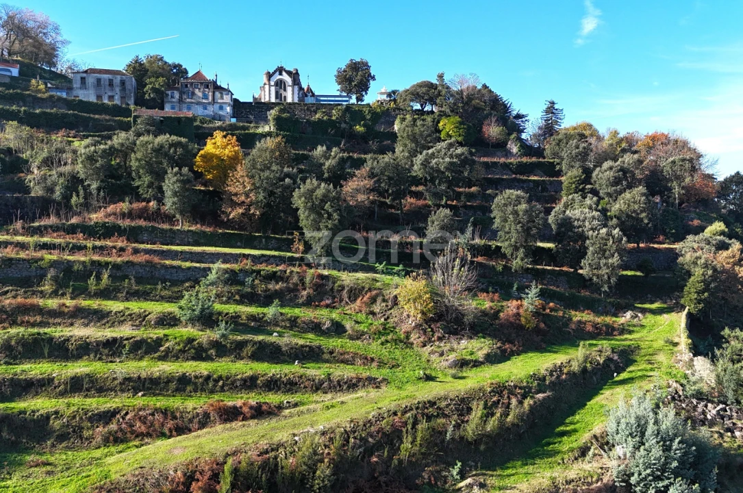 Quinta T13 para Venda em Nogueiró e Tenões Foto 45