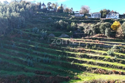 Quinta T13 para Venda em Nogueiró e Tenões