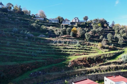 Quinta T13 para Venda em Nogueiró e Tenões