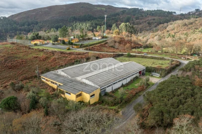 Terreno Comércio / Armazém para Venda em Aboim da Nóbrega e Gondomar