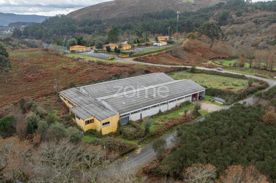 Terreno Comércio / Armazém para Venda em Aboim da Nóbrega e Gondomar Foto 4
