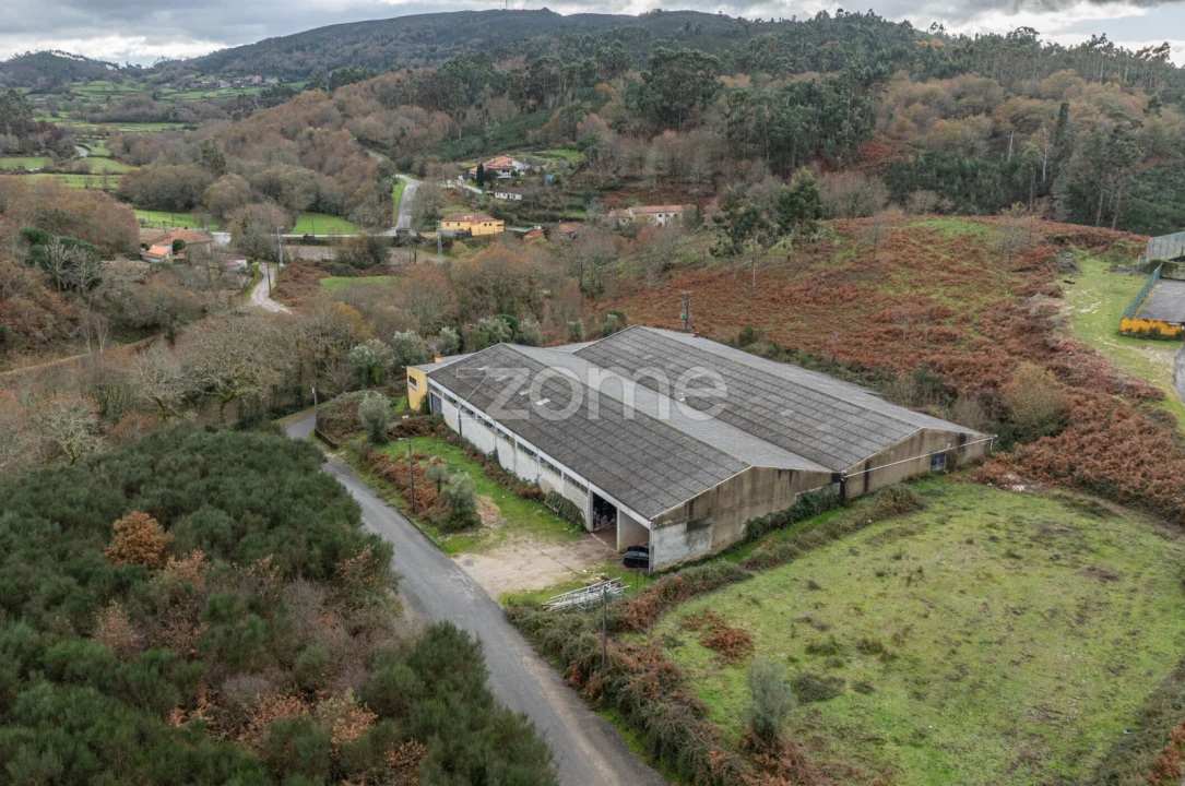 Terreno Comércio / Armazém para Venda em Aboim da Nóbrega e Gondomar Foto 7