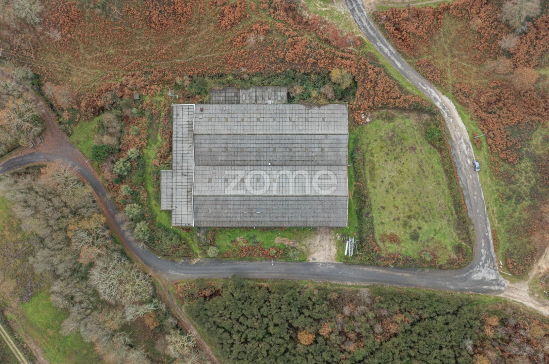 Terreno Comércio / Armazém para Venda em Aboim da Nóbrega e Gondomar Foto 6