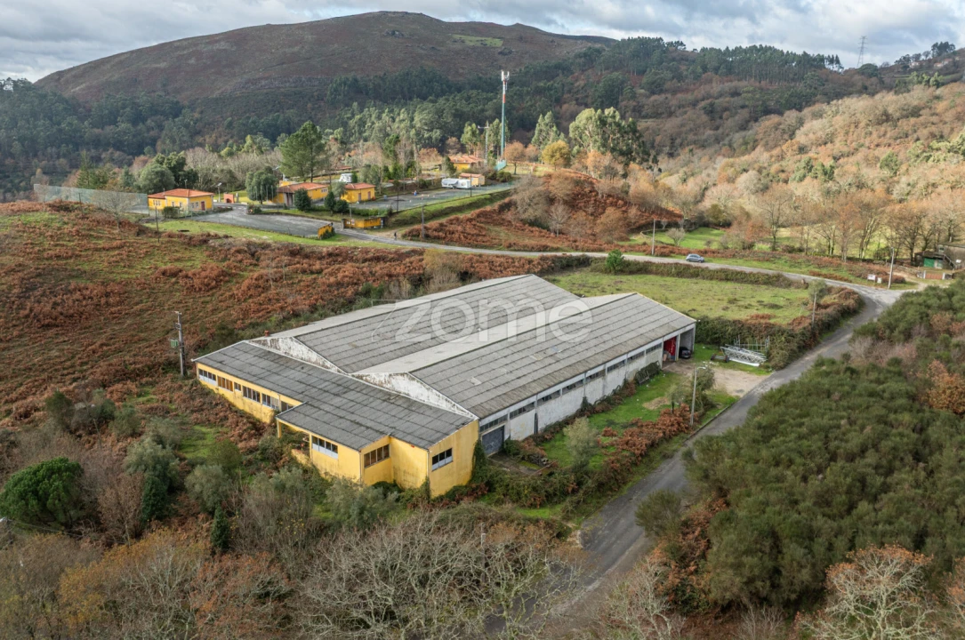Terreno Comércio / Armazém para Venda em Aboim da Nóbrega e Gondomar Foto 14