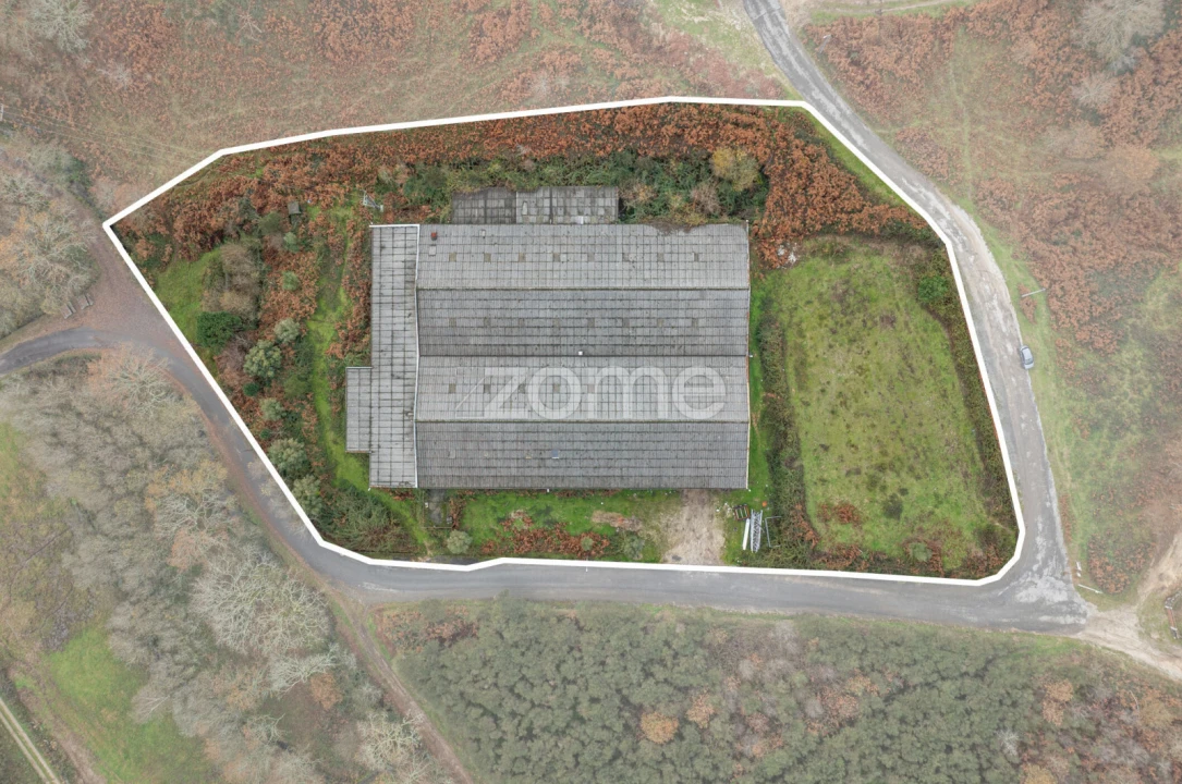 Terreno Comércio / Armazém para Venda em Aboim da Nóbrega e Gondomar Foto 2
