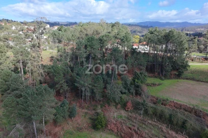 Terreno para Venda em Freixo de Cima e de Baixo
