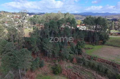 Terreno para Venda em Freixo de Cima e de Baixo
