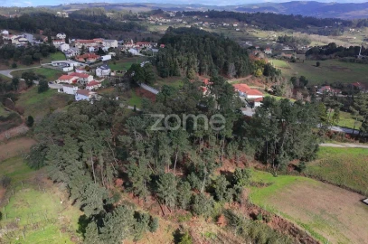 Terreno para Venda em Freixo de Cima e de Baixo