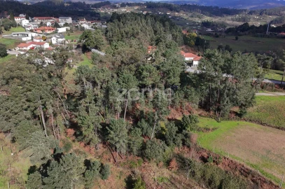 Terreno para Venda em Freixo de Cima e de Baixo